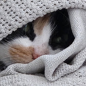 David Springett (Demonicgaze) - Youtube Profile Picture of David Springett (Demonicgaze) (@davidspringett6011) on Youtube