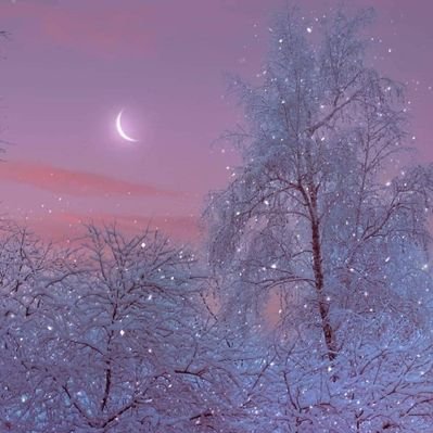 Profile Picture of Mandy Hollis (@MandyHollis6) on Twitter