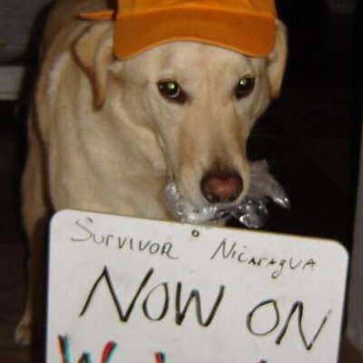 Profile Picture of Kim Goode (@Floyd51899) on Twitter