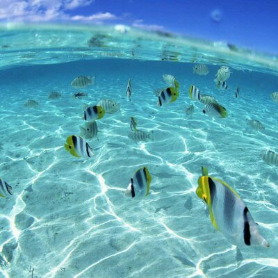 Profile Picture of Marco Antonio Chung (@marcochung03) on Twitter