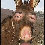 Profile Picture of Eugene Schlosser (@Eugene-Schlosser) on Facebook