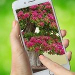 Profile Picture of Leopril Leohen (@leoprilleohen) on Instagram