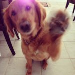 Profile Picture of Macy Richardson (@macy_bear) on Instagram