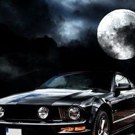 Profile Picture of Todd Jackson (@todd.jackson.3954) on Facebook