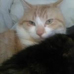 James Wortley - Instagram Profile Picture of James Wortley (@james.w752) on Instagram