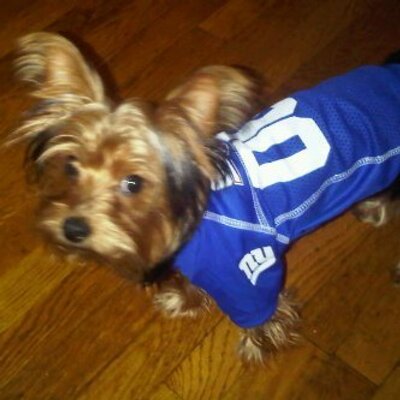 Profile Picture of Felix Garay (@Flextract) on Twitter