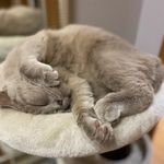 Profile Picture of Альберт Плюш (@albert_plush2020) on Instagram