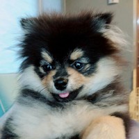 Profile Picture of Joy Yoon (@joy-yoon-7) on Quora