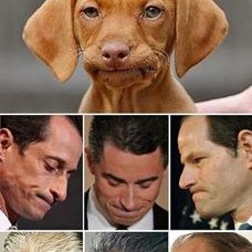 Profile Picture of Jon Mcclelland (@jon_mcclelland) on Twitter