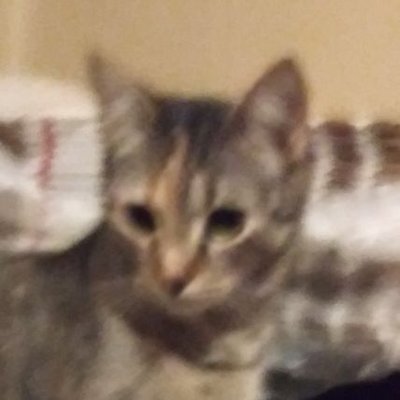 Profile Picture of Matthew Dunaway (@MatthewDunawa17) on Twitter