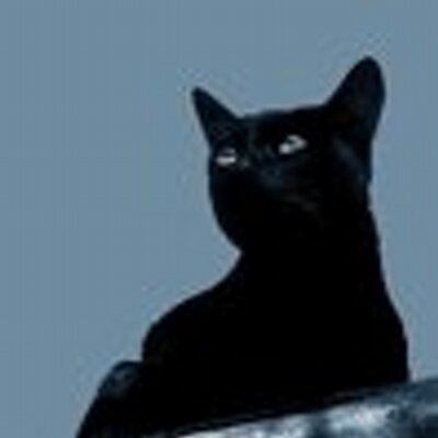 Profile Picture of Tamara Mcmahon (@TamaraMcmahon16) on Twitter