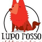 Profile Picture of Lupo Rosso (@luporossotorino) on Instagram