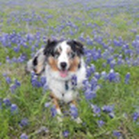 Profile Picture of Lori Duff (@lori-duff-11) on Quora