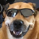 Profile Picture of Matthew McFillin (@matthew26mc) on Instagram