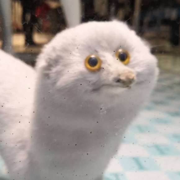 Profile Picture of Daniel Yon (@tenmpf150) on Poshmark