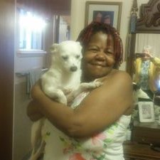 Profile Picture of Cheryl Solomon (@CherylS66769714) on Twitter