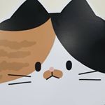 Profile Picture of 🐱고양이다방🐱 (@catdabang) on Instagram