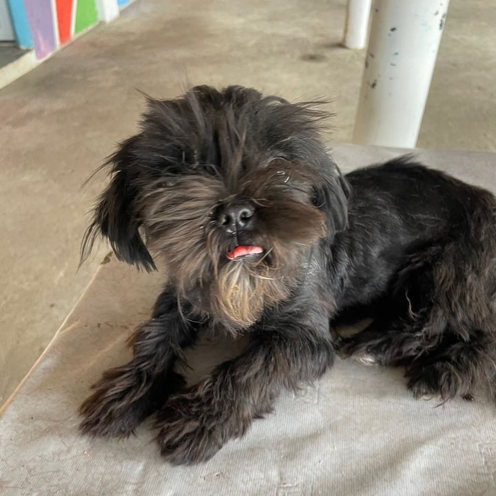 kennethduca5 - Tiktok Profile Picture of kennethduca5 (@kennethduca5) on Tiktok