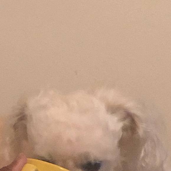 Profile Picture of Kimberly Pegues (@kimberlypegues) on Poshmark