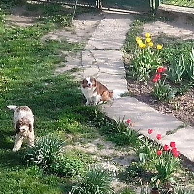 Profile Picture of Nenad Stefanovic (@NenadSt04200004) on Twitter