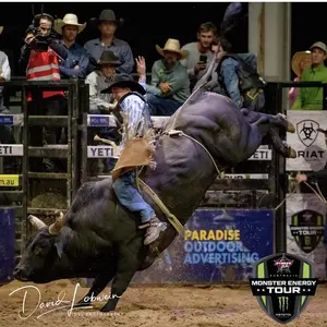 Profile Picture of Taran Chirgwin (@taranchirgwin) on Tiktok