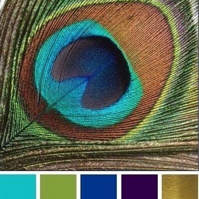 Profile Picture of Jasmin Aina Isip (@JasminAinaDavid) on Twitter