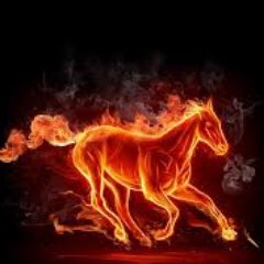 Profile Picture of Martin Picard (@picardmartin01) on Twitter