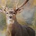 Profile Picture of Kenneth Small (@kenneth.small.3133) on Facebook