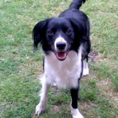 Profile Picture of Chris Aitken (@Chrisaitken15) on Twitter
