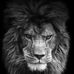 Profile Picture of Stephen Britton (@sb__xxi) on Instagram