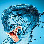 Profile Picture of Michael Tait (@michael_tait7370) on Instagram