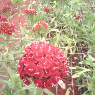 Profile Picture of Naresh.B.Choudhary (@N_Sachin16) on Twitter