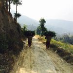 Profile Picture of Caitlin Mullins MD, MPH (@cait_mullins) on Instagram