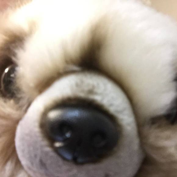 Profile Picture of Roy Lim (@ruthdkim) on Poshmark