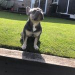 Profile Picture of Stephen Tranter (@stephen.tranter.581) on Instagram