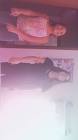 Profile Picture of   TikTok de amandinha137656... (@amandadeschamps04) on Tiktok