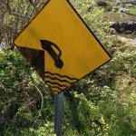 Profile Picture of paulabing (@paulabing) on Instagram