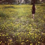 Alexa Bridges - Instagram Profile Picture of Alexa Bridges (@alexabridges) on Instagram