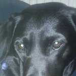 Profile Picture of Stacey Lee Windermere (@caseyshadow) on Instagram