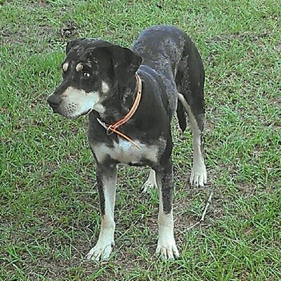 Jerry Mercer - Twitter Profile Picture of Jerry Mercer (@JerryMercer86) on Twitter