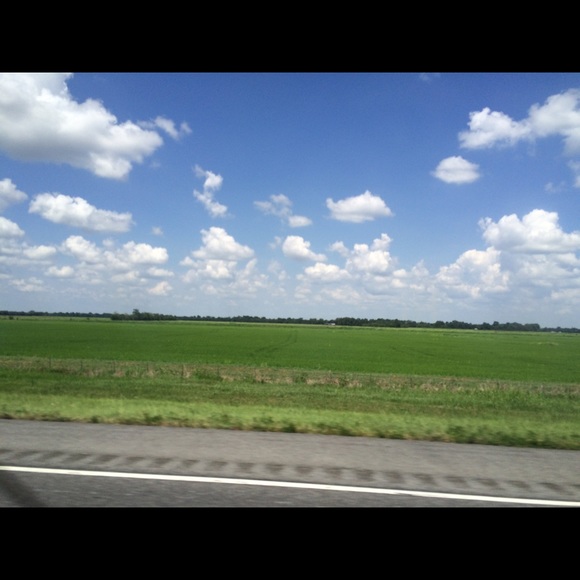 Profile Picture of Erica Laine (@etd4002) on Poshmark