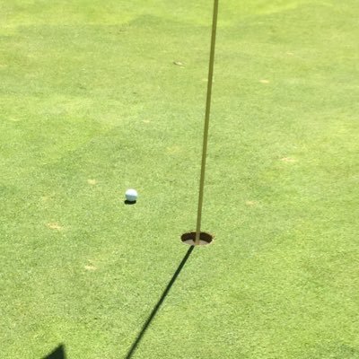 Profile Picture of John Colquhoun (@Joinery71) on Twitter