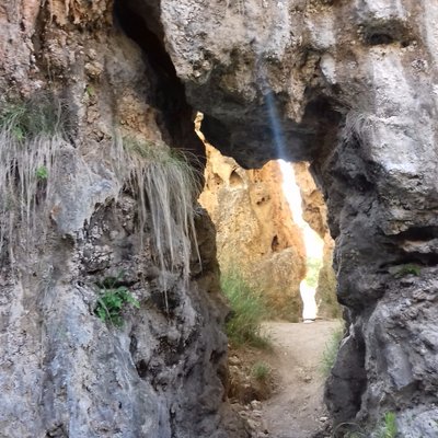 Profile Picture of Samuel Milán Corral (@miln_s) on Twitter