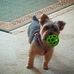 Profile Picture of Derek Saurman (@derek.saurman) on Facebook