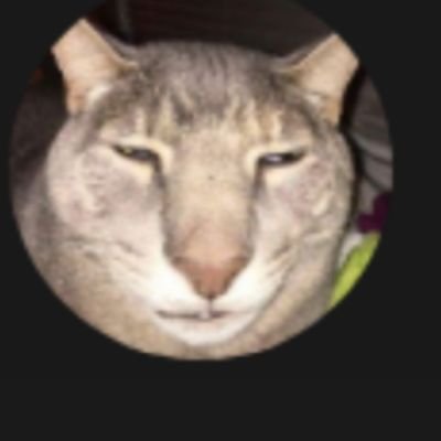 Profile Picture of Ian (@huh_whats_that) on Twitter