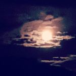 Profile Picture of Jason Murtha (@jasonmurtha7) on Instagram