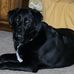 Profile Picture of Bill Blakeley (@bill.blakeley.3) on Facebook