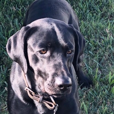 Jillian Waters - Twitter Profile Picture of Jillian Waters (@Jillianwaters14) on Twitter