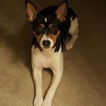 Profile Picture of Gary Lanter (@garylanter) on Instagram