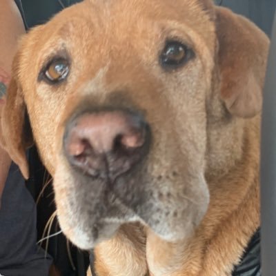 Profile Picture of Julia (@JuliaBamsGram) on Twitter